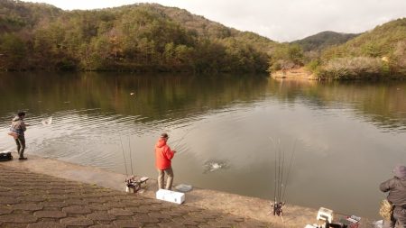 フィッシングレイクたかみや 釣果