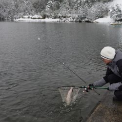 フィッシングレイクたかみや 釣果