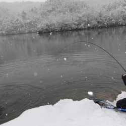 フィッシングレイクたかみや 釣果