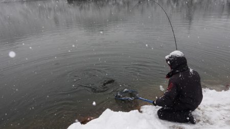 フィッシングレイクたかみや 釣果