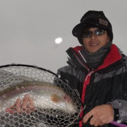 フィッシングレイクたかみや 釣果