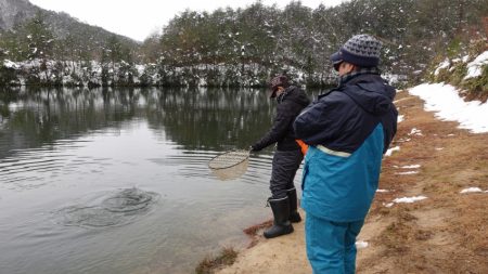 フィッシングレイクたかみや 釣果
