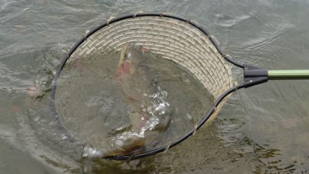 フィッシングレイクたかみや 釣果