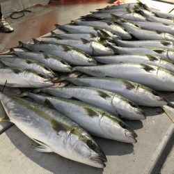 寿裕 （YOSHIHIRO） 釣果