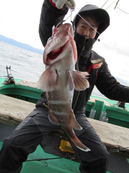 真祐丸 (しんゆうまる) 釣果