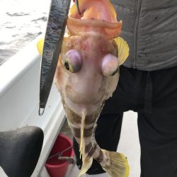 寿裕 （YOSHIHIRO） 釣果