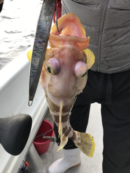 寿裕 （YOSHIHIRO） 釣果