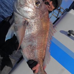 遊漁船 新鋭丸 釣果