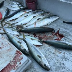 寿裕 （YOSHIHIRO） 釣果