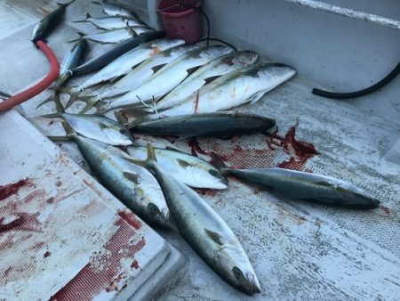 寿裕 （YOSHIHIRO） 釣果