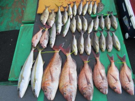 真祐丸 （しんゆうまる） 釣果