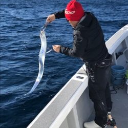 へいみつ丸 釣果
