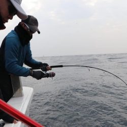 スカイマリン 釣果