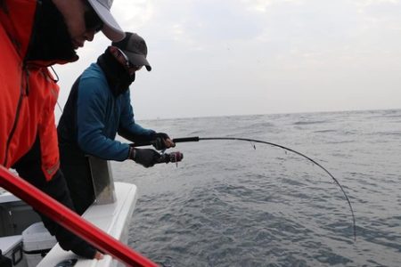 スカイマリン 釣果