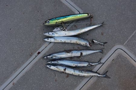 へいみつ丸 釣果