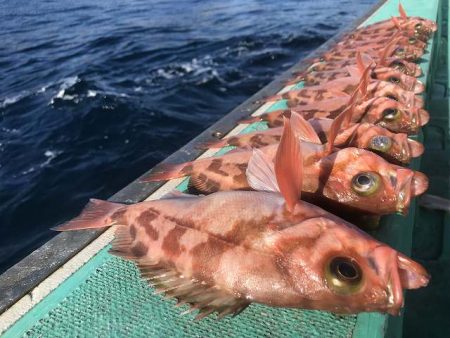 広進丸 釣果