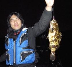 シーマジカル 釣果