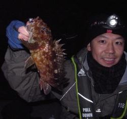 シーマジカル 釣果