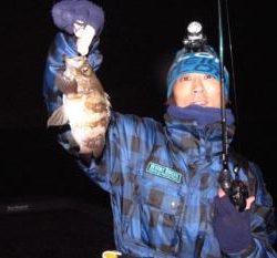 シーマジカル 釣果