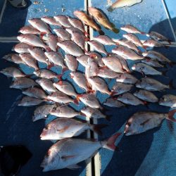 十八宝洋丸 釣果