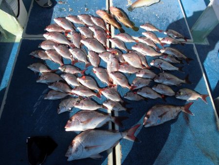 十八宝洋丸 釣果