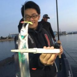 シーマジカル 釣果