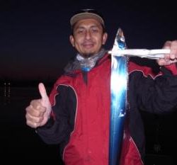 シーマジカル 釣果