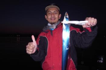 シーマジカル 釣果