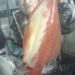 泰丸 釣果