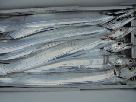 ＨＡＲＵＫＡ丸　はるかまる 釣果