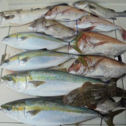 ＨＡＲＵＫＡ丸　はるかまる 釣果