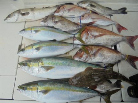 ＨＡＲＵＫＡ丸　はるかまる 釣果