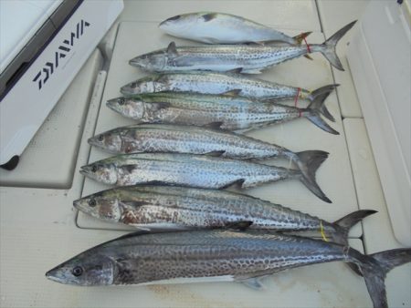 ＨＡＲＵＫＡ丸　はるかまる 釣果