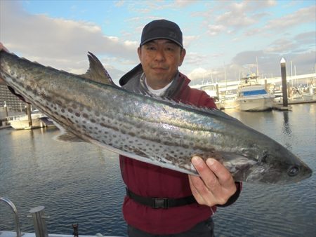 ＨＡＲＵＫＡ丸　はるかまる 釣果