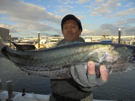 ＨＡＲＵＫＡ丸　はるかまる 釣果