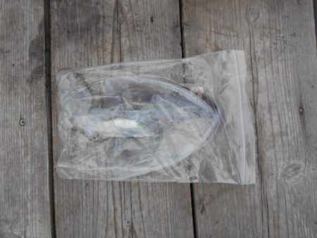 こかわ渡船　雅丸 釣果