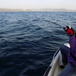 フィッシングボート空風(そらかぜ) 釣果