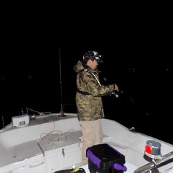 フィッシングボート空風(そらかぜ) 釣果