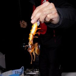 フィッシングボート空風(そらかぜ) 釣果