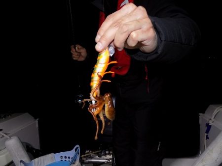 フィッシングボート空風(そらかぜ) 釣果