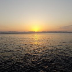 フィッシングボート空風(そらかぜ) 釣果