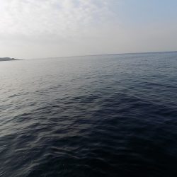 フィッシングボート空風(そらかぜ) 釣果