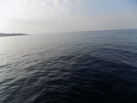 フィッシングボート空風(そらかぜ) 釣果