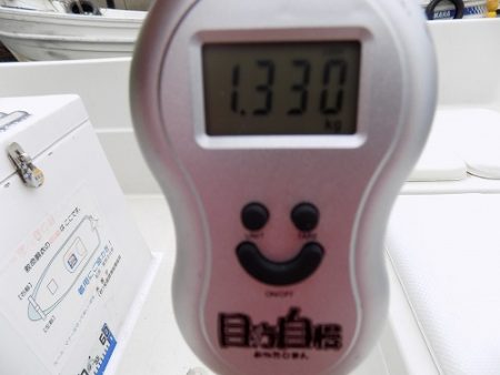 フィッシングボート空風(そらかぜ) 釣果