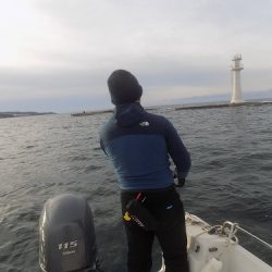 フィッシングボート空風(そらかぜ) 釣果