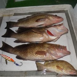 フィッシングボート空風(そらかぜ) 釣果