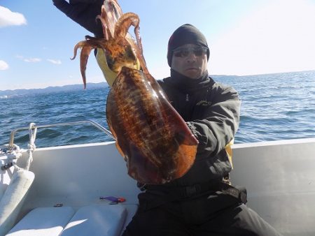 フィッシングボート空風(そらかぜ) 釣果