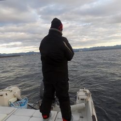 フィッシングボート空風(そらかぜ) 釣果