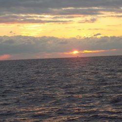 フィッシングボート空風(そらかぜ) 釣果