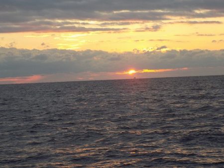 フィッシングボート空風(そらかぜ) 釣果